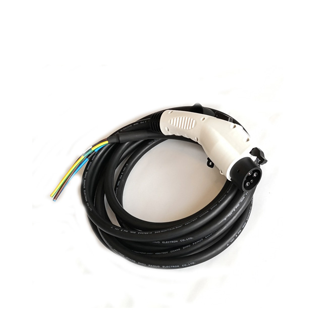 Type 1 EV Charger